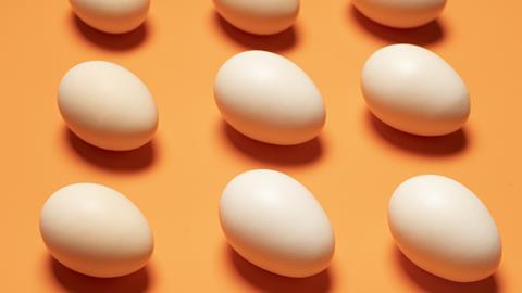 Eggs on an orange background
