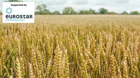 Main image for regen ag feature