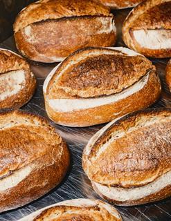 Wildfarmed sourdough loaves