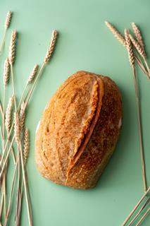 Hobbs House Bakery Wild White Sourdough