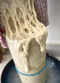 Peak & Stone sourdough starter