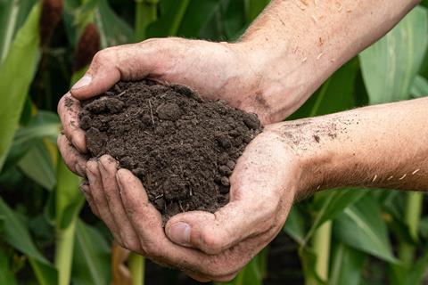 Handful of healthy soil from regenerative agriculture field