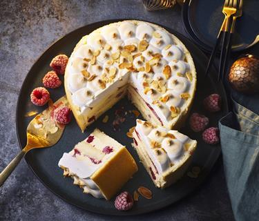 Frozen Trifle Caked Alaska