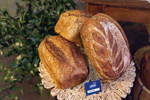 A trio of sourdough loaves