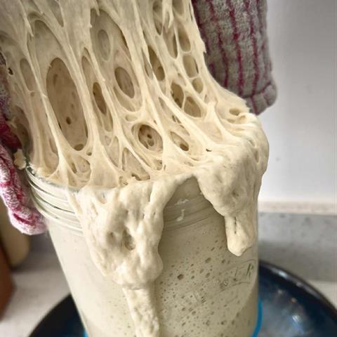Peak & Stone sourdough starter