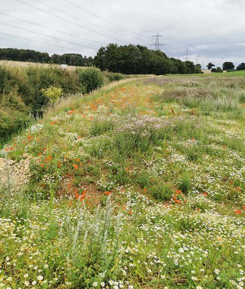 An attenuation pond, which gradually releases water to prevent flooding during heavy rainfall - WRAP  1525x1800