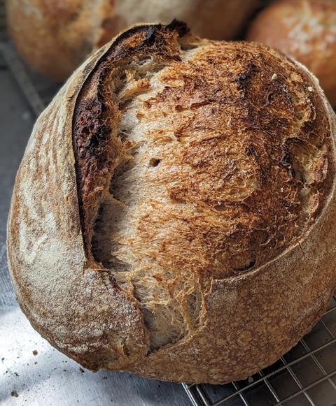 Fig & Walnut Sourdough, Bake 88, Epsom  1485x1800