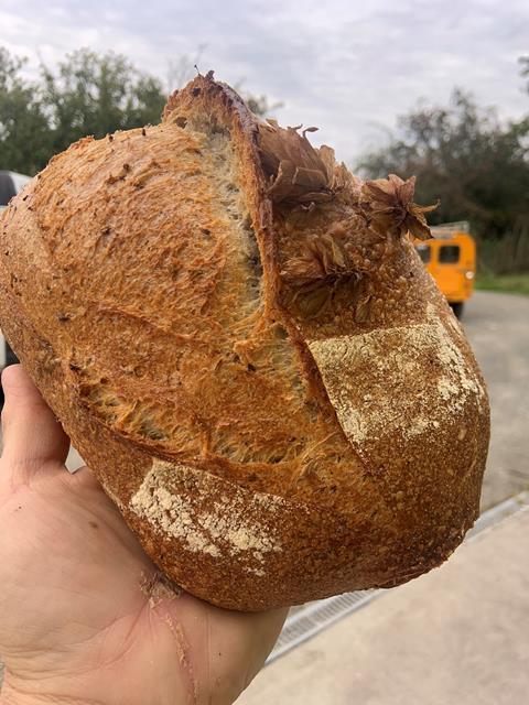 Peter Cooks Bread - Wild Hops & Barley Sourdough - Britain's Best Loaf 2020
