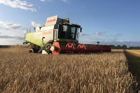 Wheat harvesting at The Mead Farm in Northumberland