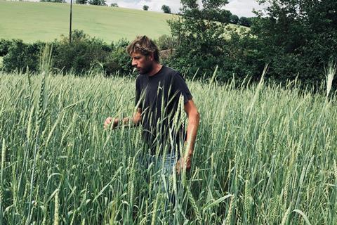 Andy Cato of Wildfarmed in a field