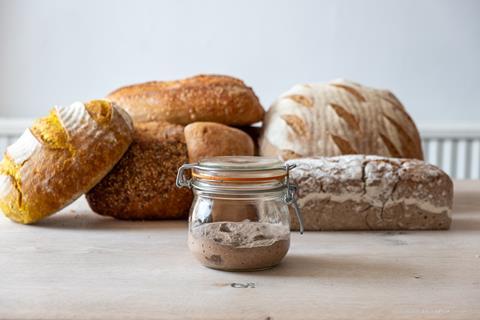 Hobbs House Bakery - Monster sourdough starter