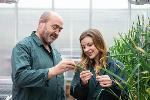 Professor Nigel Halford and Sarah Raffan with wheat plants