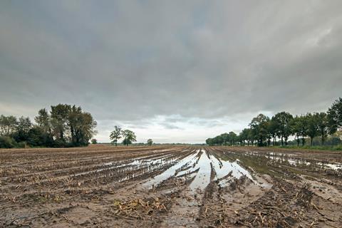 Rainy field GettyImages-868481928