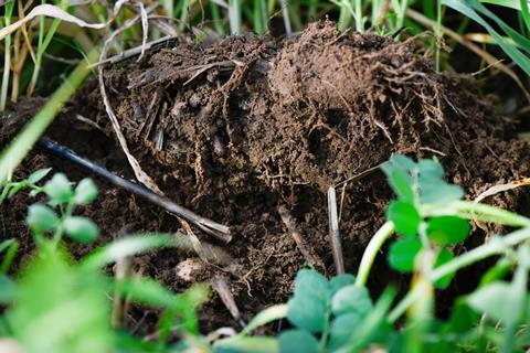 Frontier Agriculture - Heathly soil at a partner farm - 2100x1400