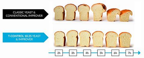 03-T-Control-White-Tin-Bread cropped