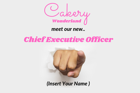 cakery wonderland new CEO ad