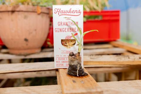 Hawkens Gingerbread - A ginger plant infront of a pack of Grantham Gingerbread - 2100x1400