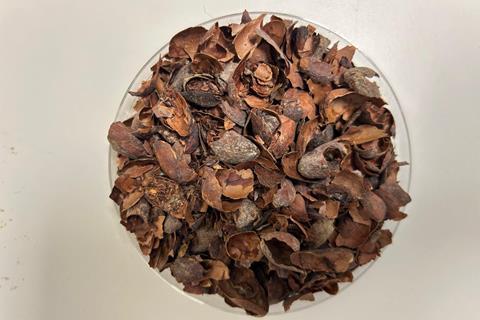 Fermtech - Cocoa plant side streams - 2100x1400