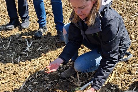 Whitworth Bros - Rooted in Soil - 2100x1400