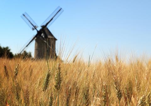 Windmill in wheat field