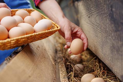 Getty Images - 2164829018 Sergii Kolesnikov