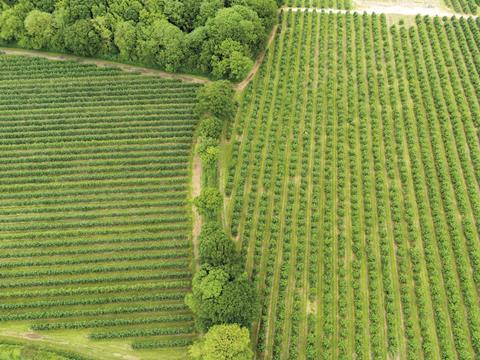 Puratos farm resized