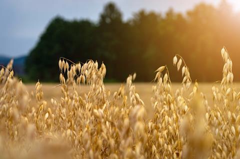 Oats GettyImages-1166950353