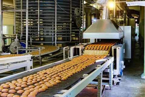 Bread rolls on a bakery manufacturing line