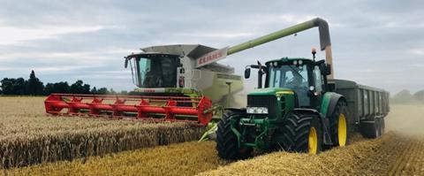 A combine harvester deposits wheat in a tractor pulled truck - ADM