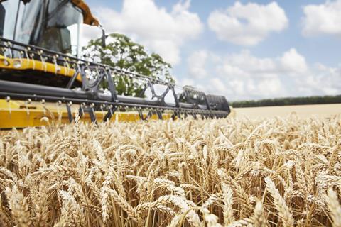 Getty Images - 158925953 Robin James