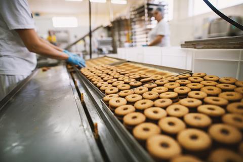 Biscuits on manufacturing line