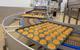 Guenther Bakeries McDonald's buns production 2100x1400